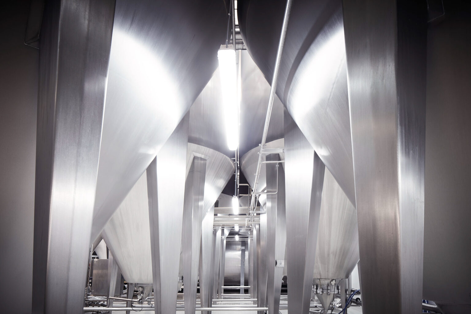 Eine Nahaufnahme von mehreren großen Edelstahlbehältern in einer industriellen Anlage. Die Behälter haben konische Formen und stehen auf stabilen Beinen. Zwischen den Behältern verlaufen Rohrleitungen und Kabel. Die Umgebung ist sauber und gut beleuchtet, mit einer Leuchtstofflampe, die von der Decke hängt und den Bereich ausleuchtet. Die Edelstahloberflächen reflektieren das Licht und vermitteln einen Eindruck von Sauberkeit und Effizienz.