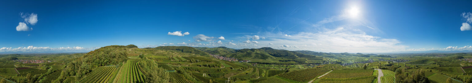 Panoramablick über eine weitläufige, grüne Weinberglandschaft unter einem klaren, blauen Himmel mit einigen wenigen Wolken. In der Ferne sind kleine Dörfer und Hügel zu sehen. Die Sonne scheint hell und erzeugt eine friedliche und idyllische Atmosphäre.